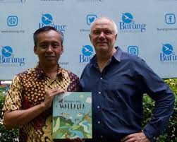 Image result for Platycoryne mediocris