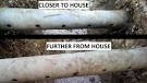 Septic System Drain Field Soil Restoration BIOMAT