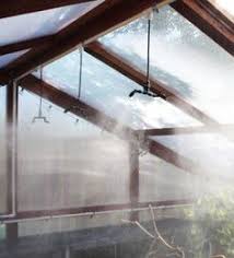 We did not find results for: 110 Pvc Greenhouse Ideas In 2021