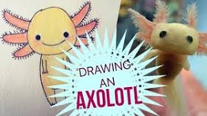 The easiest way to get this is by utilizing heat moves and environmental props while fighting large groups of basic enemies. Drawing An Axolotl Youtube