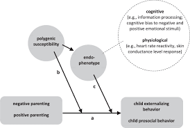 Why can't we connect point af, cd and be without crossing lines or moving over the es'. Current And Future Perspectives On Children S Genetic And Endophenotype Based Differential Susceptibility To Parenting Springerlink