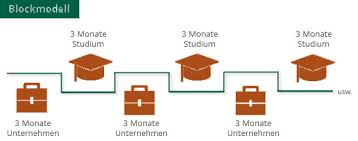Duales Psychologie Studium Alle Infos Auf Einen Blick
