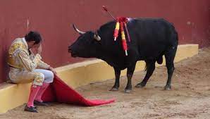L'ultimo a intervenire nella corrida. Intervista A D Alvaro Munera Da Torero A Paladino Contro La Tortura