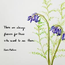 Flowers Quote Water Colour Painting Floral Illustrations Flower Quotes Watercolor Paintings