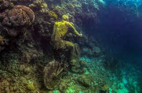 We did not find results for: Grenada Underwater Sculpture Park Info Guide Sandals