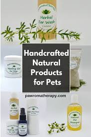 Holistic health care for pets. All Natural Plant Based Non Toxic Products For Pets Skin Care Ear Care Dental Care And Natural Pest Control For Dog Holistic Pet Natural Pet Healthy Pets