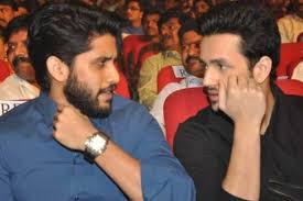 Akhil Akkineni Beats Naga Chaitanya Akkineni