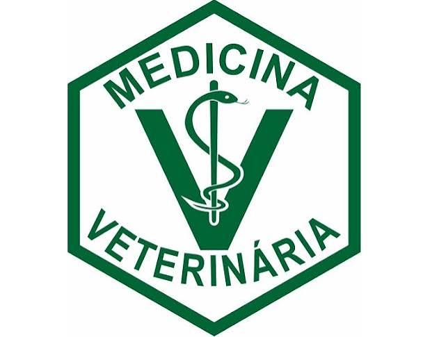 O que é Medicina veterinária? - Agron Agronegócios Online