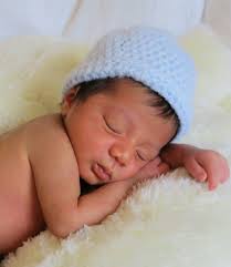 Baby Brahmas Arriving In The Summer