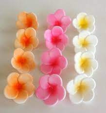 Plumeria Sugar Flowers Cupcake Decorating Set Edible Flowers Tropical Moana Cupcakes Hibiscus And Monstera Leaves Also Available Sugar Flowers Gum Paste Flowers Fondant Flowers