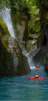 Kayaking Kaituna River Near Rotorua North Island New Zealand Used To Live Just Down The Road From Her New Zealand Travel Kayaking North Island New Zealand