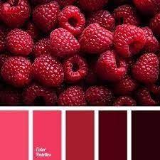 Pin By Martka Brown On Colours Red Colour Palette Color Palette Color Balance
