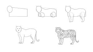 Mar 30, 2019 · sketch full body tiger drawing, drawer pro, sketch full body tiger drawing. How To Draw A Realistic Tiger 5 Easy Steps Jae Johns