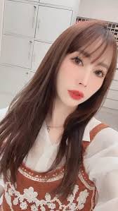 三芝小鹿夜貓場