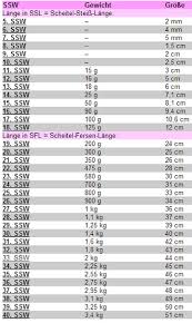 Das gewicht und die größe eines babys hängen von ganz individuellen faktoren ab Grosse 8 Ssw Stainabilities Duanflcquynhon Site
