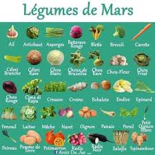 Les Legumes De Mars Carotte Rouge Chou Rave Blette