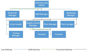 Types Of Business Organizational Structures Veracious Org