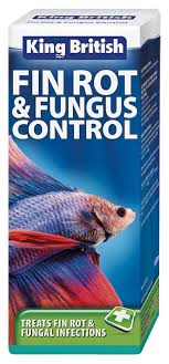 Fin rot is a condition usually caused by either the aeromonas, pseudomonas, or vibrio bacteria. King British Fin Rot Fungus Control