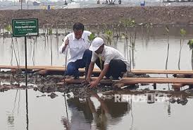 Gunakan Sistem Modern Produksi Tambak Udang Bekasi Melonjak Republika Online