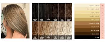 Balayage for dark blonde hairstyles 2021. Dark Blonde Vs Light Brown Which One For Hair Color Change