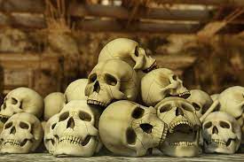 Pin On Scary Things Shop