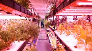 Maybe you would like to learn more about one of these? Arlington S Only Commercial Farm To Expand Double Production Arlnow Com