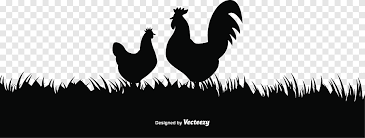Rooster And Hen Art Chicken Rooster Sunrise Rooster Silhouette Illustration Animals Logo Png Pngegg Designevo's silhouette logo generator will give you stunning inspirations to make an attractive logo in minutes! rooster and hen art chicken rooster