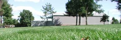 Call now to get your free quote. Fairway Green Inc Make The Grass Greener On Your Side Of The Fence
