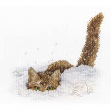 But for another cross stitcher simply giving the gift of a kit to complete is awesome. Mp Studio Cat In The Snow Cross Stitch Kit Craftyarts Co Uk