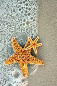 L0stship Beautiful Sea Creatures Beach Wall Collage Beach Wallpaper