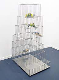 Born in 1978 in curitiba (brazil) works and lives in madrid (spain). Marlon De Azambuja Pipa Prize