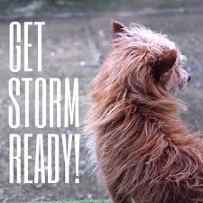 We are open and our staff are on hand for you and your pets during this difficult time. Northside Vet Care Home Facebook