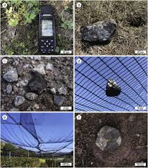 Here are the best metal detectors of 2019: The Renchen L5 6 Chondrite Breccia The First Confirmed Meteorite Fall From Baden Wurttemberg Germany Sciencedirect