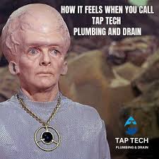 Echo Perry-Cumberland