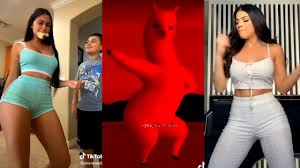 Mi Pan Su Su Sum Tiktok Dance Compilation Tiktok Challenge Youtube
