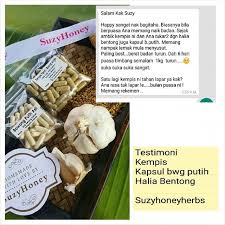 Bawang putih memiliki kandungan suplur tinggi yang membantu melawan infeksi. 100 Kapsul Bawang Putih Suzyhoneyherbs Natural Tanpa Campuran Lain Shopee Malaysia