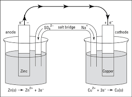 N physics a type of cell having a zinc anode in dilute. Electrochemical Cells The Daniell Cell Dummies
