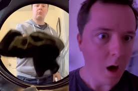 Dad's Funny Instagram Series Shows What Happens When Men Become  “Domesticated”