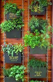 Vertical Herb Garden For The Outdoors Gardens Click Vertical Garden Diy Vertical Garden Vertical Herb Garden