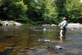 Pin On Fly Fishing
