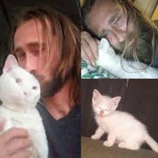 My cats when I want their attention My cats when I want to sleep