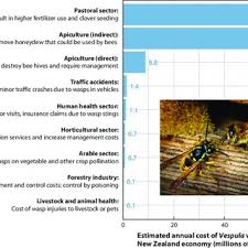 That's why you should consider the following paper wasp nest removal strategies. Pdf Invasion Success And Management Strategies For Social Vespula Wasps
