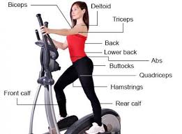 Pin On Exercise