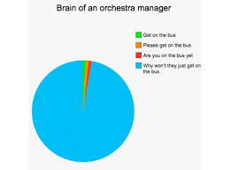 Thoughts Of Classical Music Professionals In Pie Charts