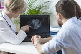 Transferencia Embrionaria Paso A Paso Mi Fertilidad