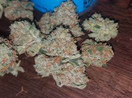 Kandy Kush Og By Revolution Cannabis Illinois Medical Cannabis