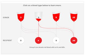 blood type 101 bcbst news center