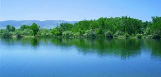 Check spelling or type a new query. Lake And Pond Dead Algae And Weed Digester Treatment