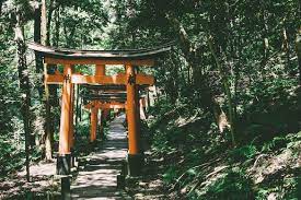 What About Cultural Appropriation When It Comes To Torii Nion Berlin