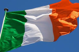 In erat dicant quo, nec ea labores epicuri adipiscing. Ireland Bans Non Essential Construction Construction News